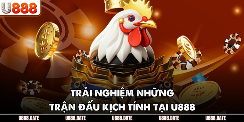 Trải nghiệm những trận đấu kịch tính tại U888